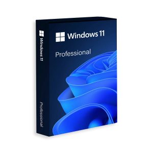 Windows 11 Pro